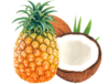 #3 Oatmeal Pina Colada